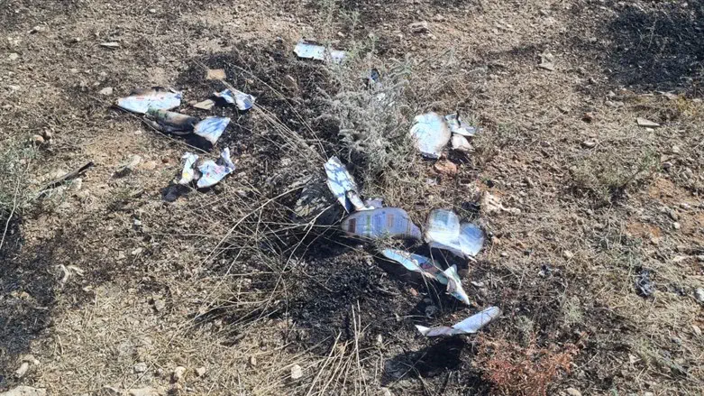 הניירות שהובילו לשריפה