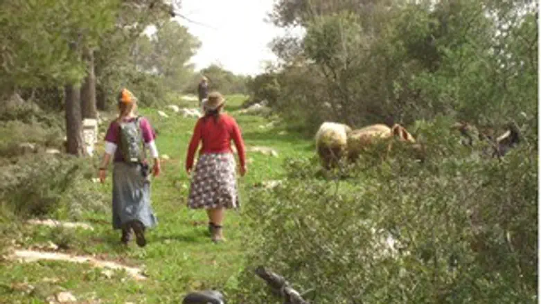 טיול בשומרון