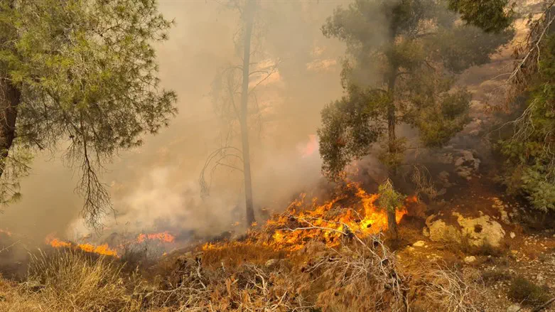 שריפת חורש. ארכיון