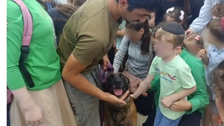 The show on Tisha B'Av 