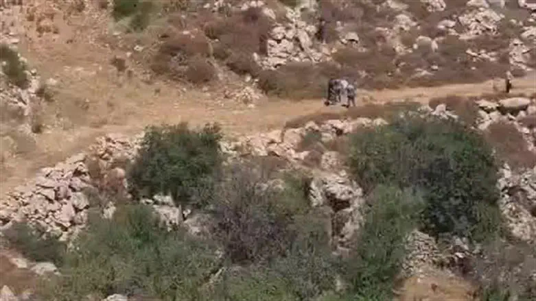 סקירת אדמות
