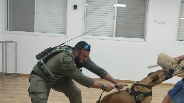 Security dog neutralizes a simulated terrorist attack