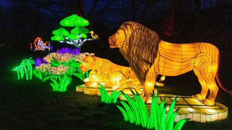 פסטיבל האורות הבינלאומי, אוגוסט בנמל תל אביב, פתוח לקהל הרחב.