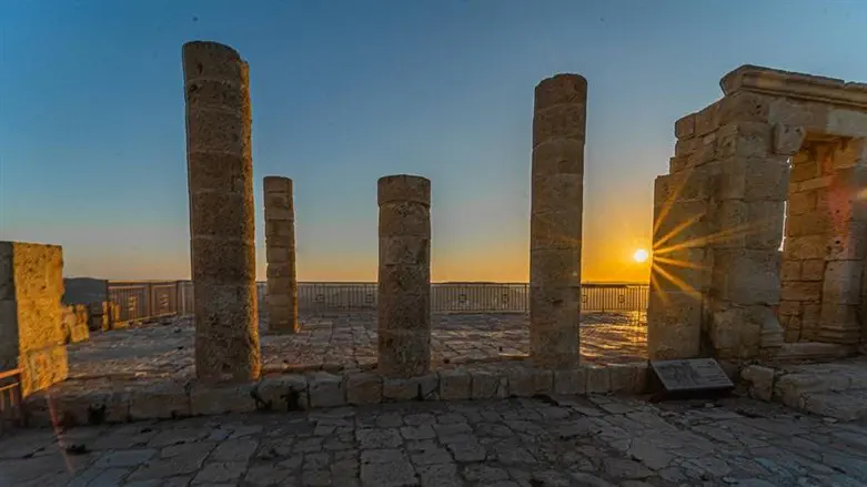 גן לאומי עבדת בשקיעה