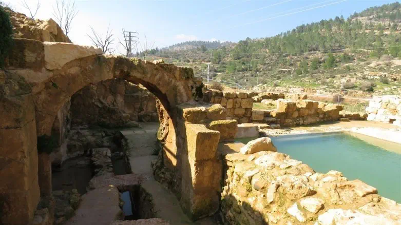 זנדברג טירפדה, סילמן החזירה. עין חניה, אחד מאתרי הפיילוט