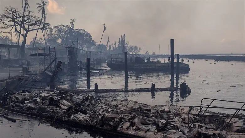 Wildfire damage in Hawaii
