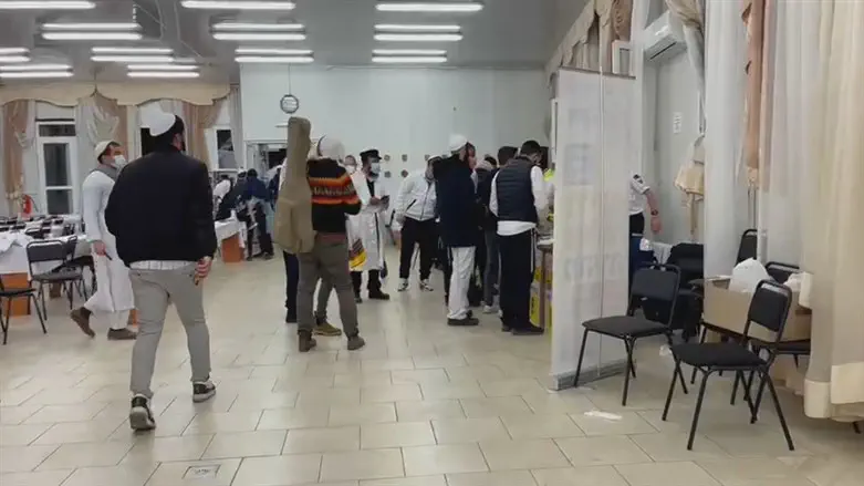 Израильтяне возвращаются из Умани