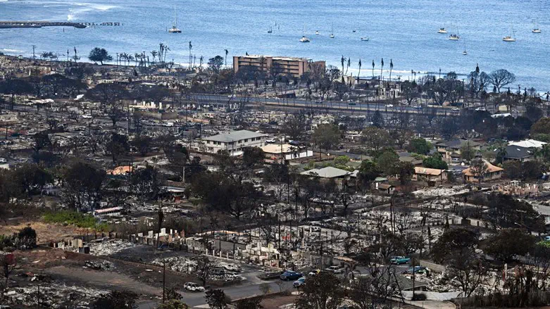 Aerial image shows destroyed homes and buildings burned to the ground in Lahaina