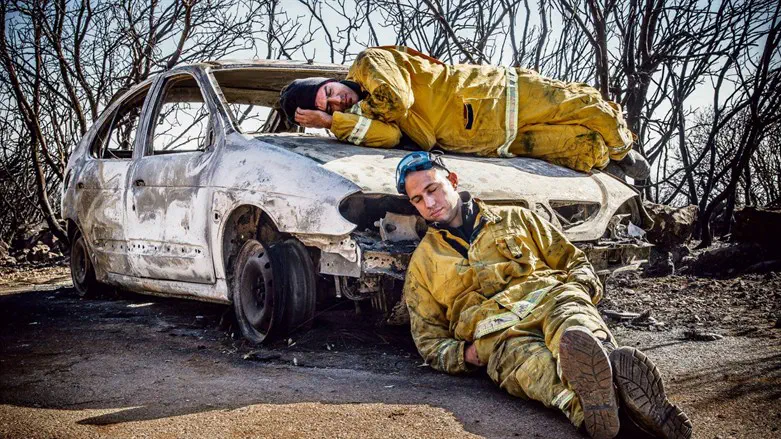 דקל מרציאנו