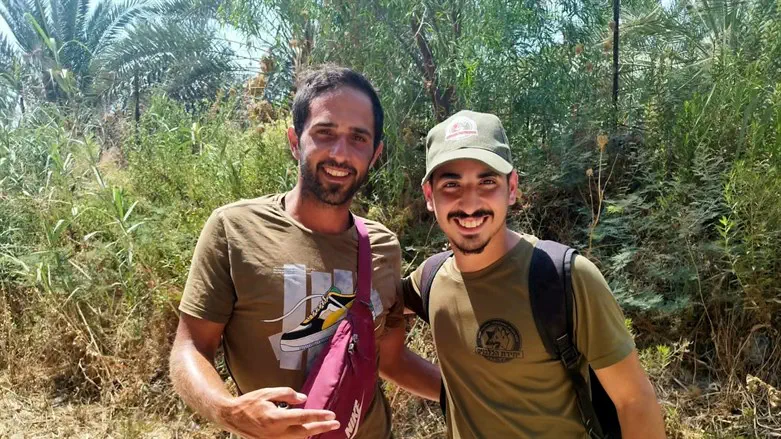 The missing hiker