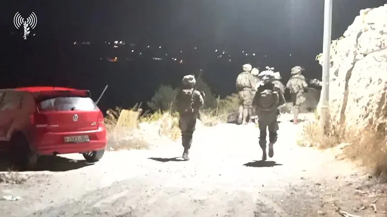 פעילות צה"ל