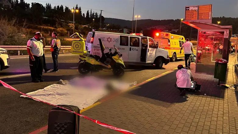 Scene of the accident near the Hemed Interchange