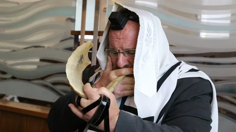 הייתי רוצה בעל תוקע שחולם דווקא על משרוקית. אילוסטרציה