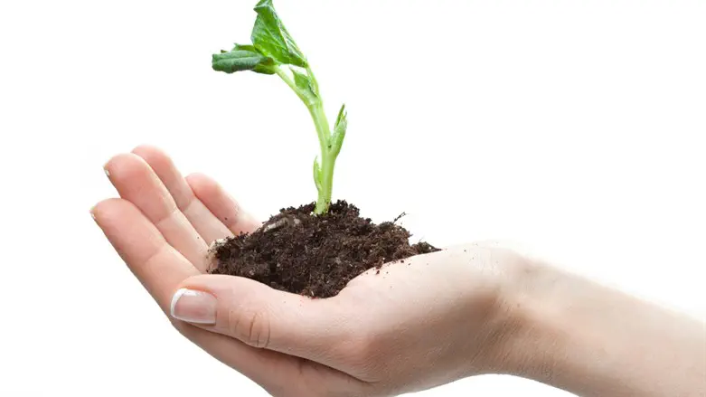 Emerging leadership