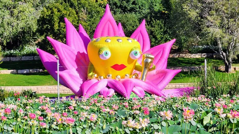 בוטניפלצת. תערוכה בגן הבוטני בירושלים