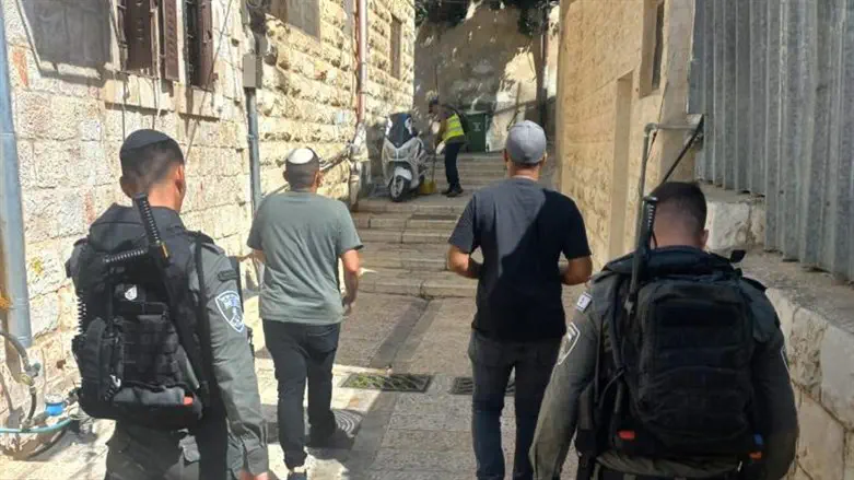 פעילות הכוחות