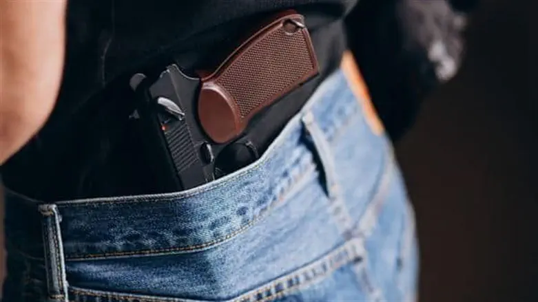 Gun