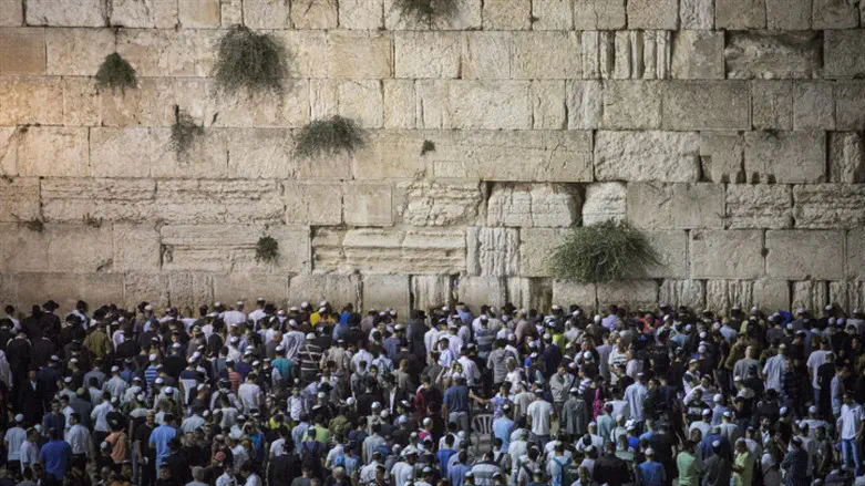 Котел (архив)