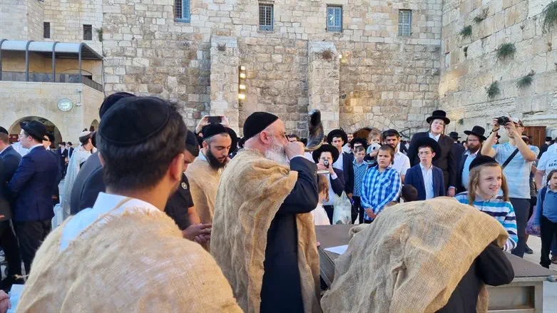 הכותל המערבי