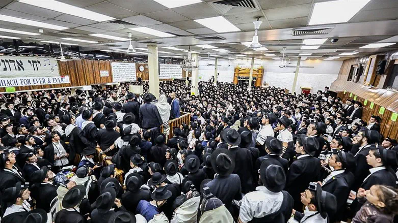 ההמונים בחב"ד