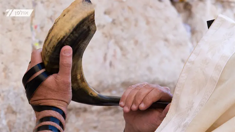 שופר