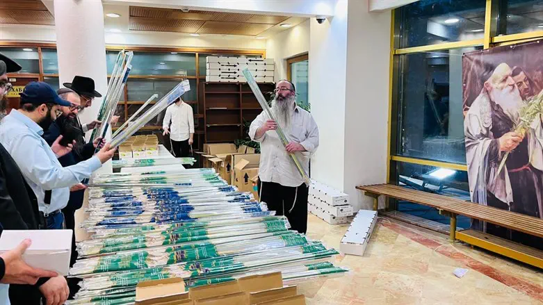 ארבעה מינים לקראת החגים. מרבים במצוות