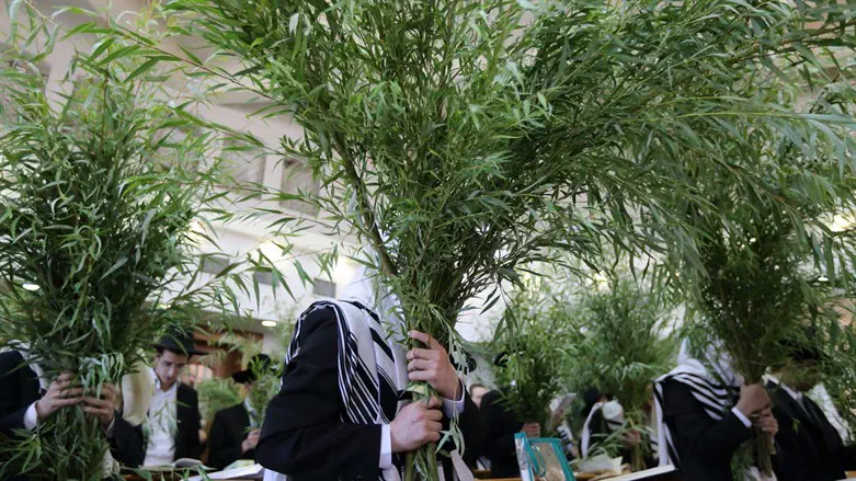 נמצאות שישה ימים בחברת הצדיק. אילוסטרציה