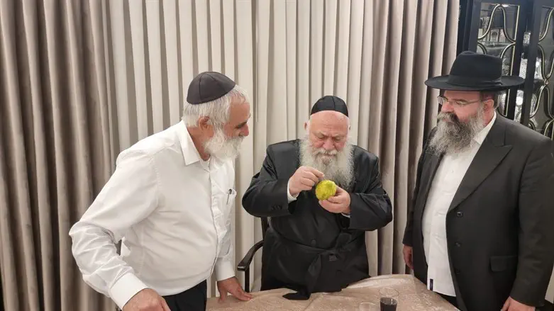 Визит к Ицхаку Гольдкнопфу