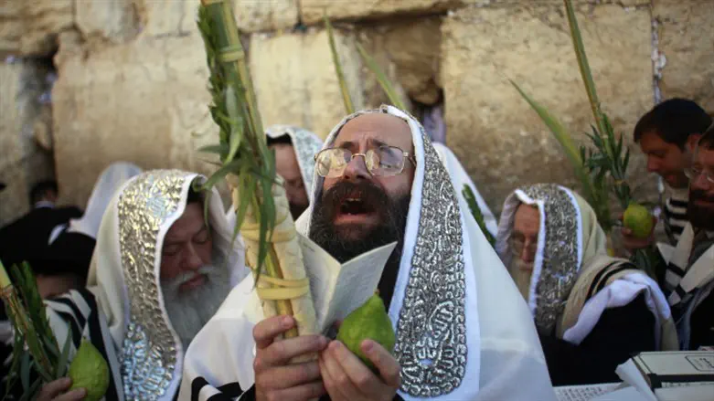 Four species on Sukkot