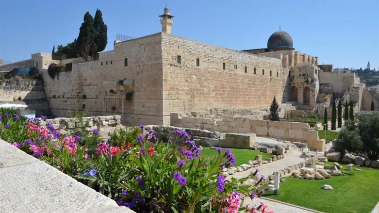 מרכז דוידסון