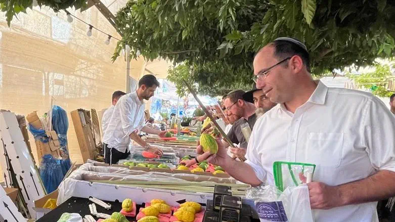 MK Rothman in 4 Species market