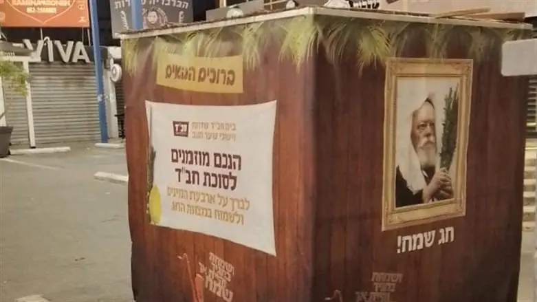 סוכה של חב"ד בשדרות