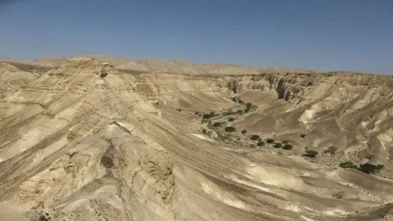 שמורת הטבע רמת מזר וחווארי הכיכר