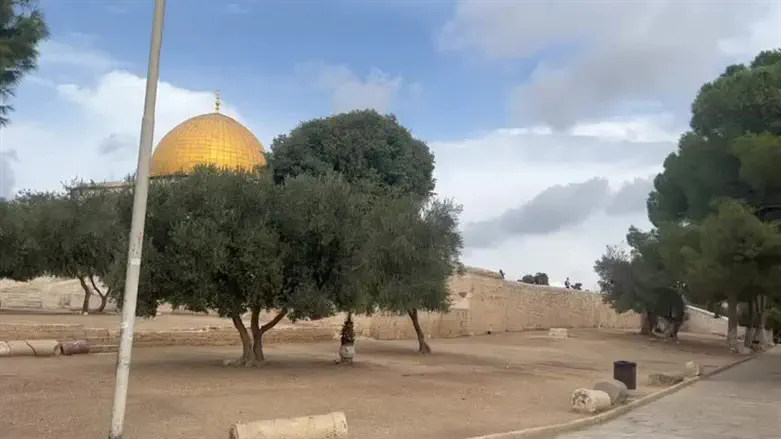 The Temple Mount this morning