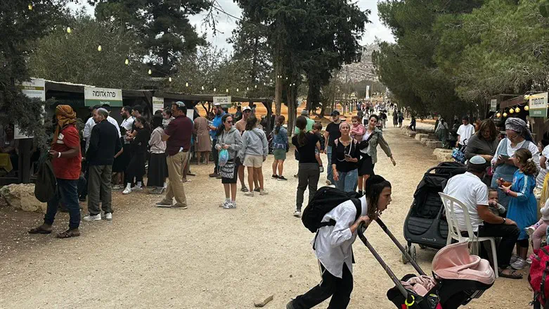 המבקרים בשילה הקדומה