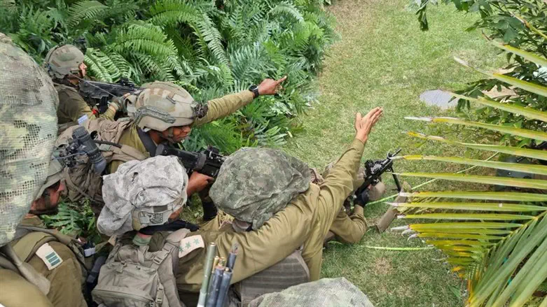 לוחמים בפעילות