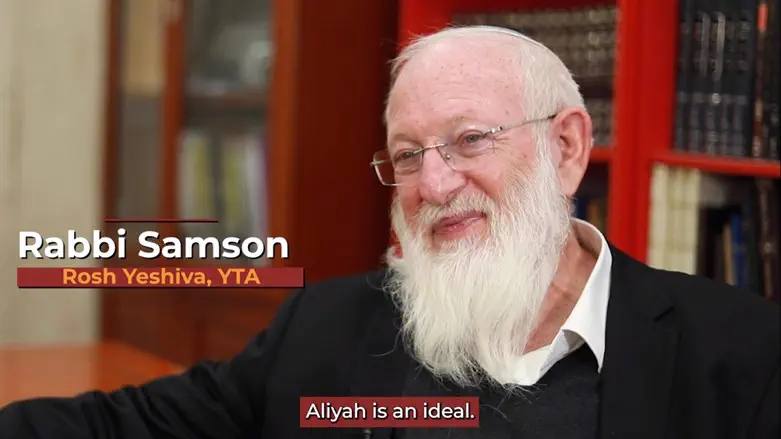 Rabbi David Samson