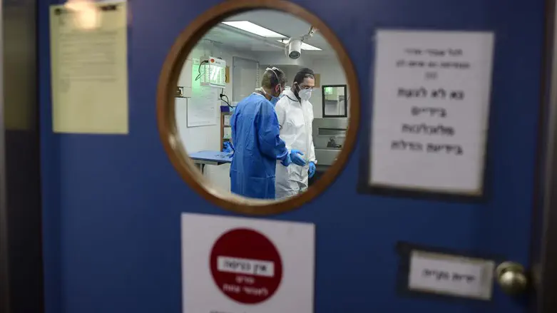 מחנה שורה
