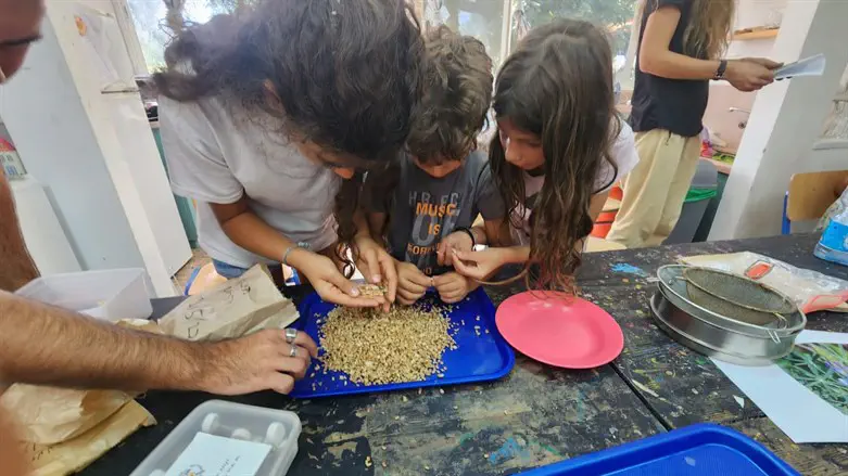 Sorting the seeds