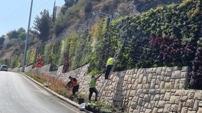 עבודות גינון. אילוסטרציה (למצולמים אין קשר לכתבה)