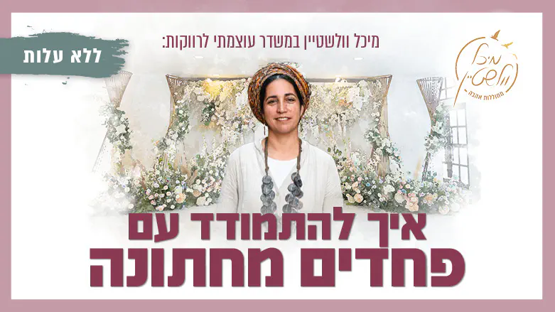 משדר מיכל וולשטיין