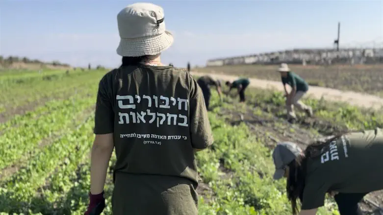 אורות בחקלאות