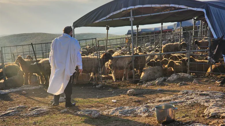 השר אליהו בחוות המכוך