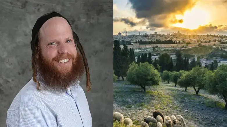 ירושלים, נתנאל פנישל