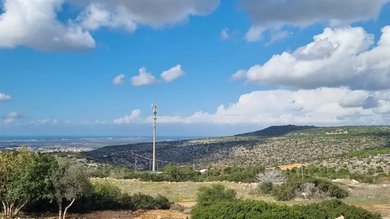 נוף גלילי