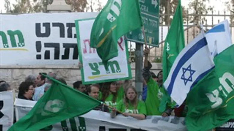 מרצ מפגינים