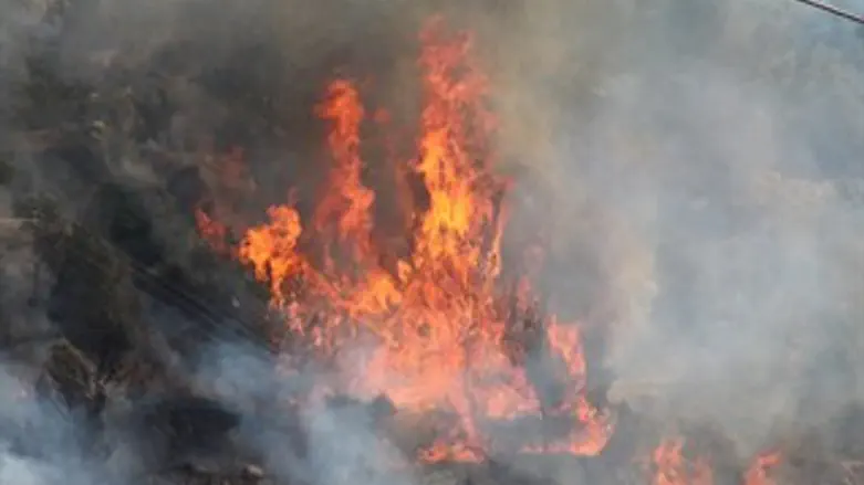 שריפה ביער ירושלים