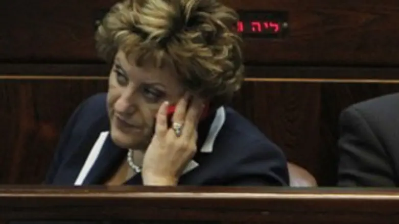 לא מבינה. קירשנבויים