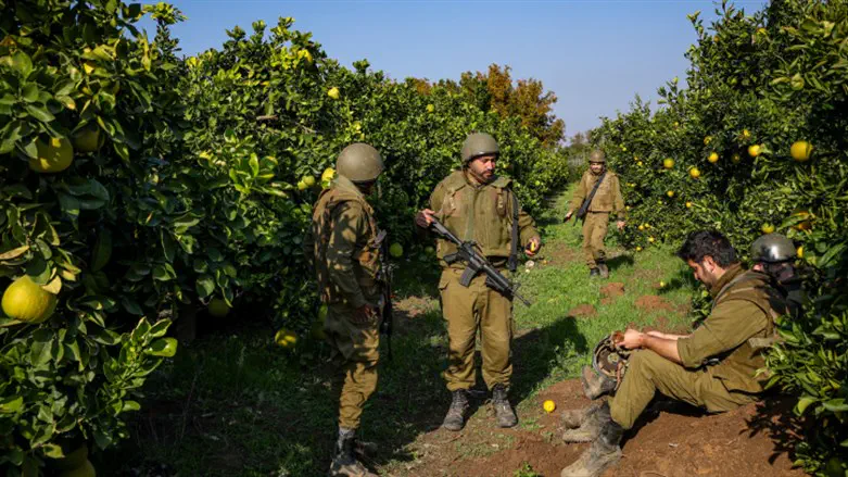 Soldiers on the northern border (archive)