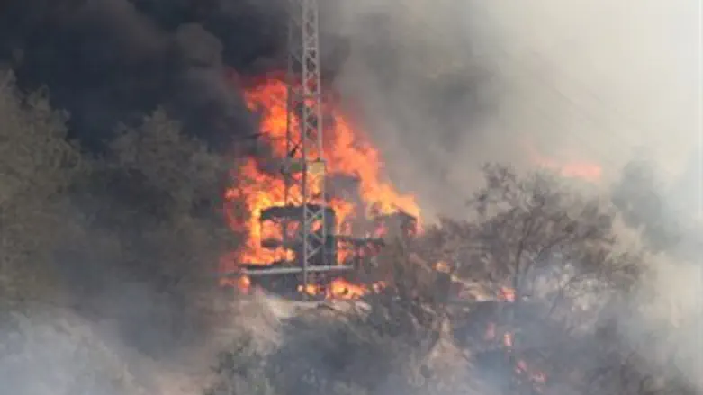 בית בוער באש, שריפה יער ירושלים